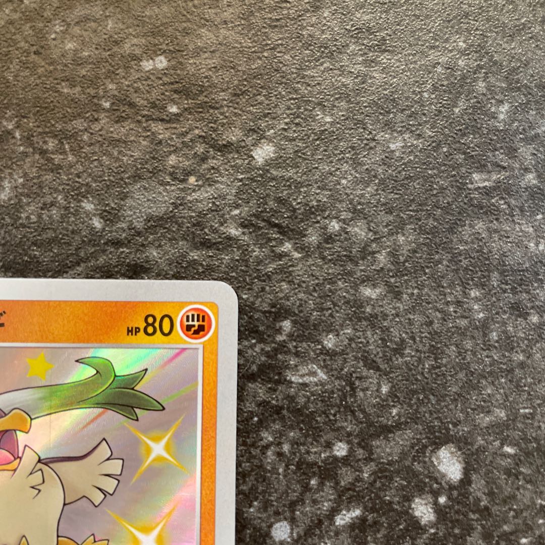 Galal Farfetch'd S 262/190