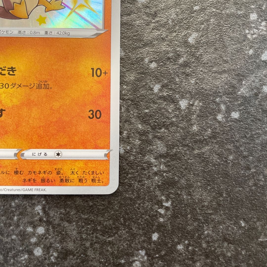 Galal Farfetch'd S 262/190