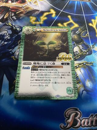 Life on the battlefield Revival 1 piece