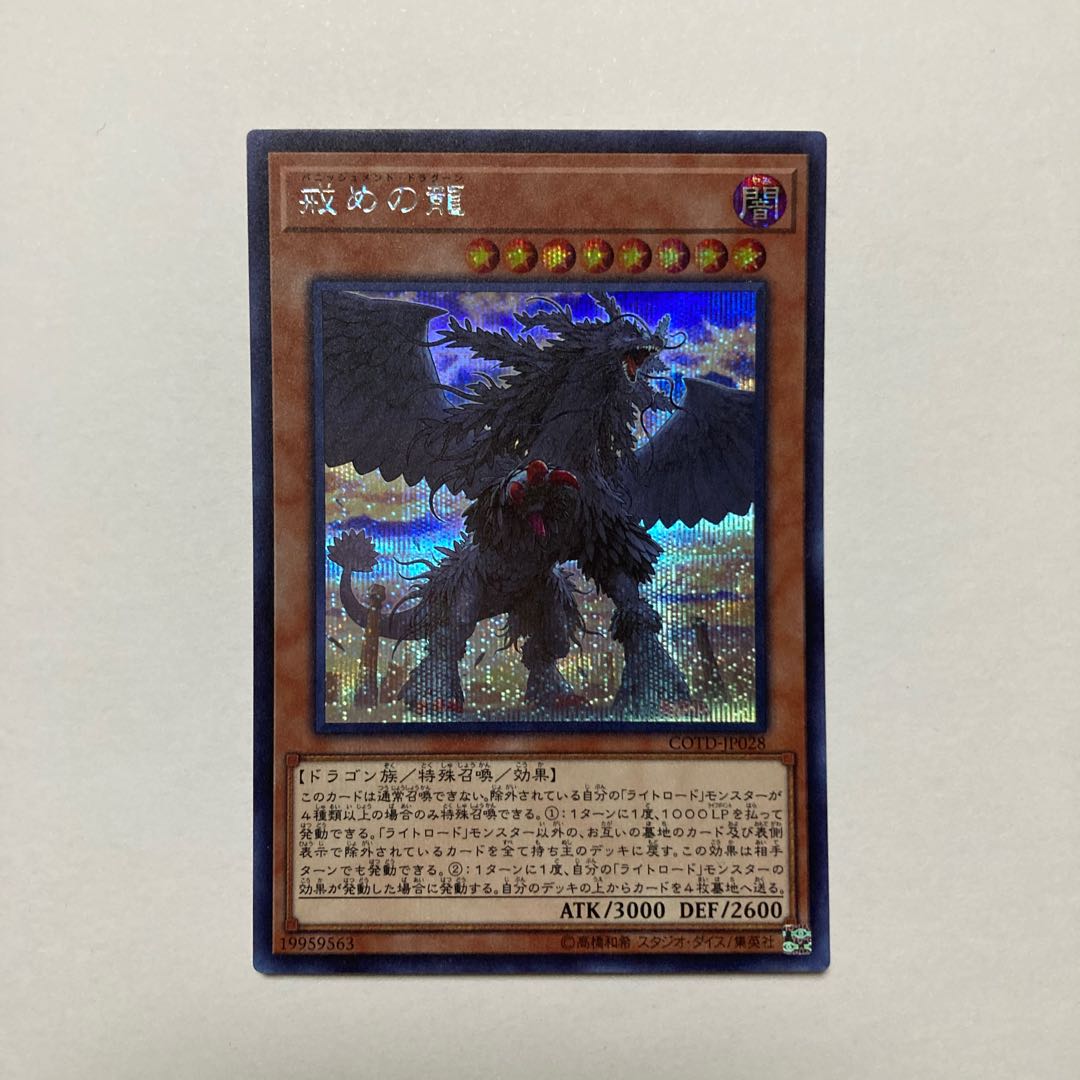Punishment Dragon Secret Rare JP028