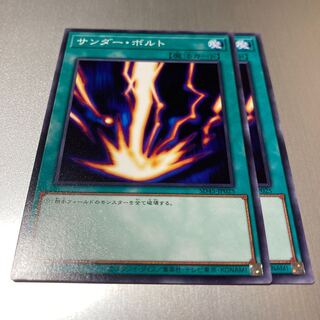 サンダー・ボルト ノーマル JP025 2枚