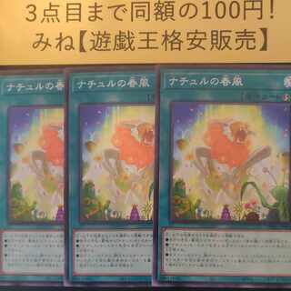 ナチュルの春風 ノーマル JP064 1枚