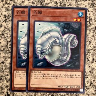 白鱓 ノーマル JP018