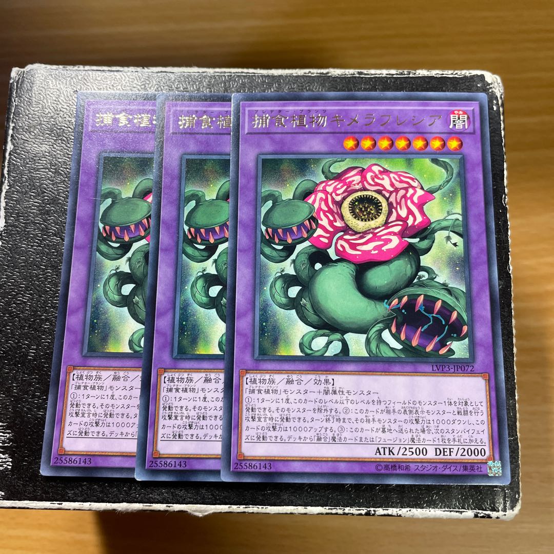 Predaplant Chimerafflesia 3 rare