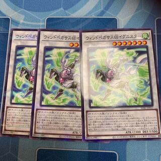 Wind Pegasus@Ignitor Parallel Normal JP017