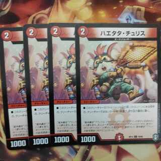 Haetata Chu Squirrel C 78/95