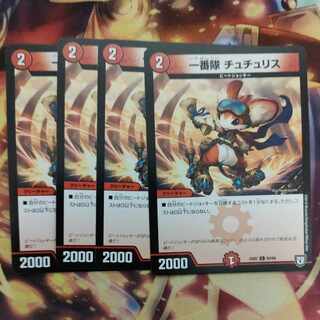 First team Tutu Squirrel C 63/84