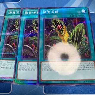Predapractice parallel normal JP040