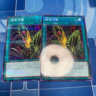 Predapractice parallel normal JP040