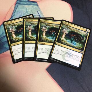 成長のらせん　4枚