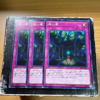 迷い風 ノーマル3枚