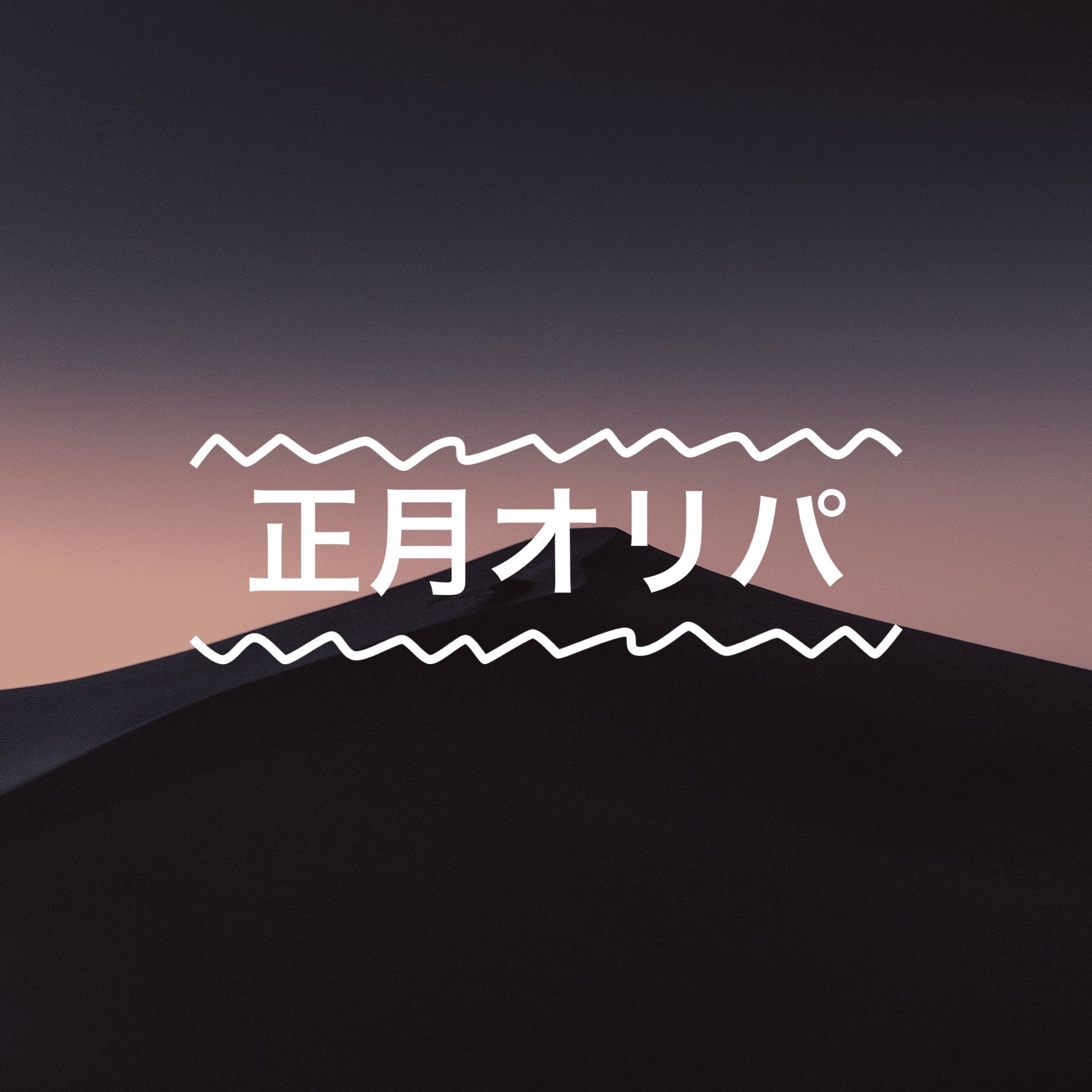 1613433208様専用　10p 1枚