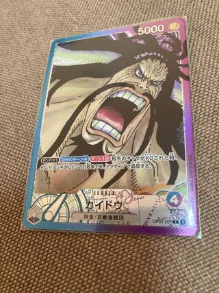 Kaido Leader Parallel