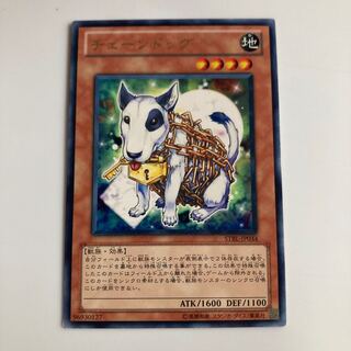 8829 チェーンドッグ レア JP034