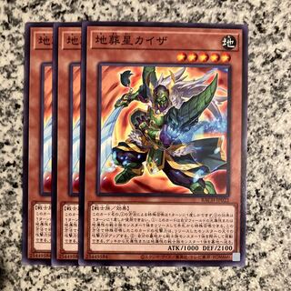 Kaiser, the Earth Burial Star Normal JP022