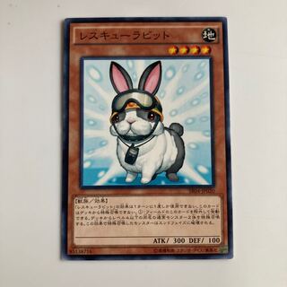 8830 Rescue Rabbit $3872