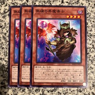 熟練の栗魔導士 ノーマル JP024