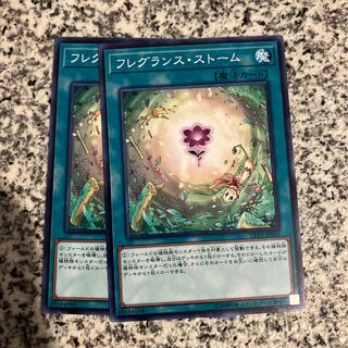 Fragrance Storm Normal JP045