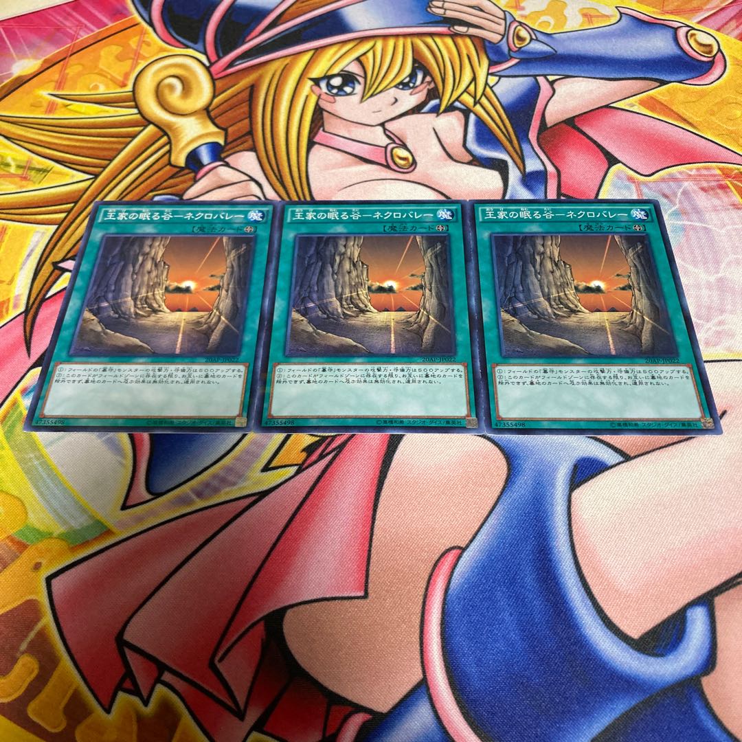 王家の眠る谷-ネクロバレー パラレル ノーマル JP022