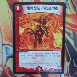 爆流忍法 不死鳥の術