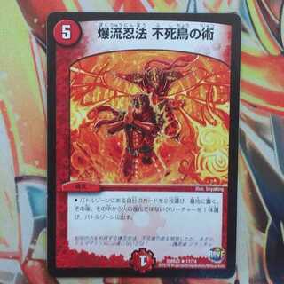 爆流忍法 不死鳥の術