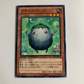 8872 Naturia Rock $3946