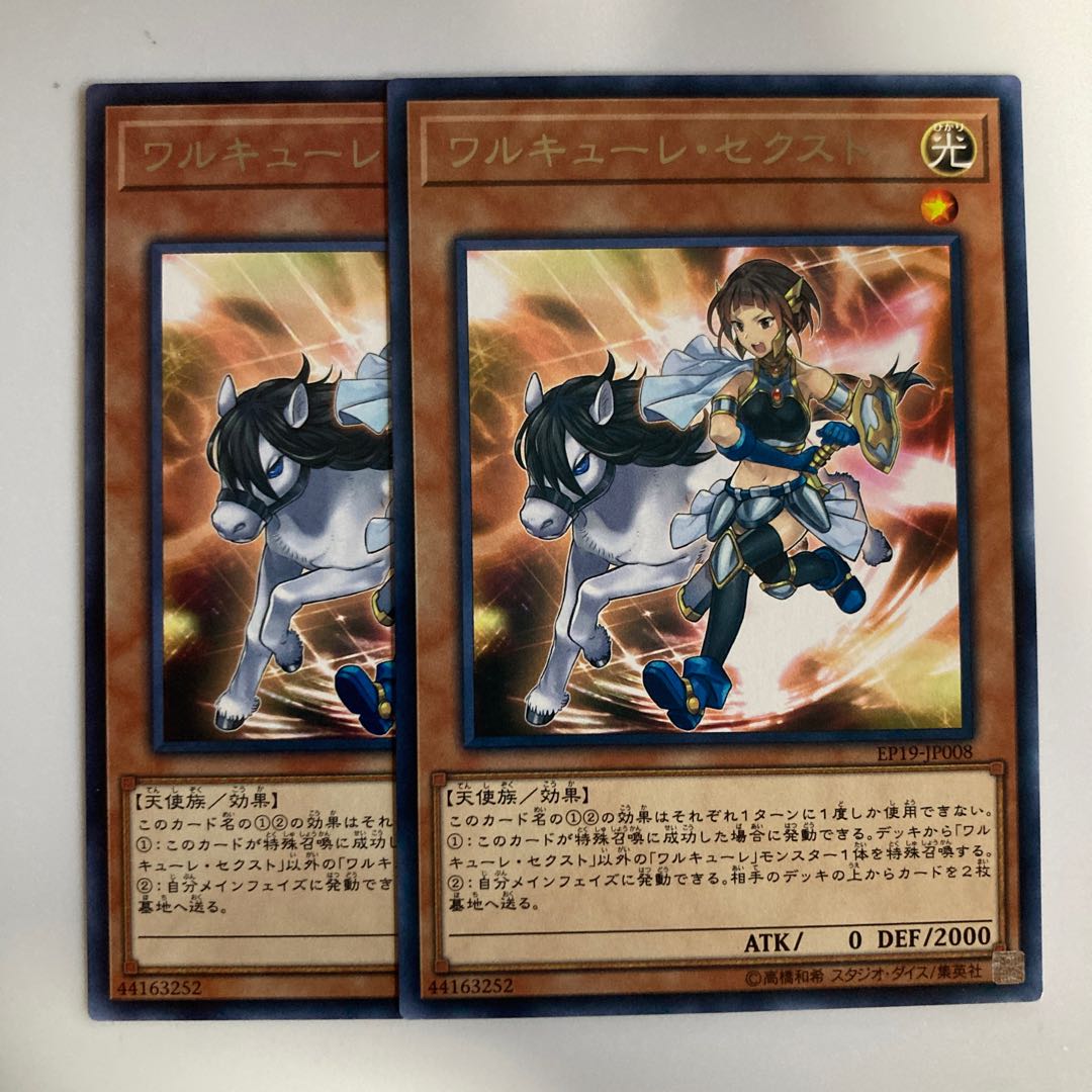 Valkyrie Sechste $3976