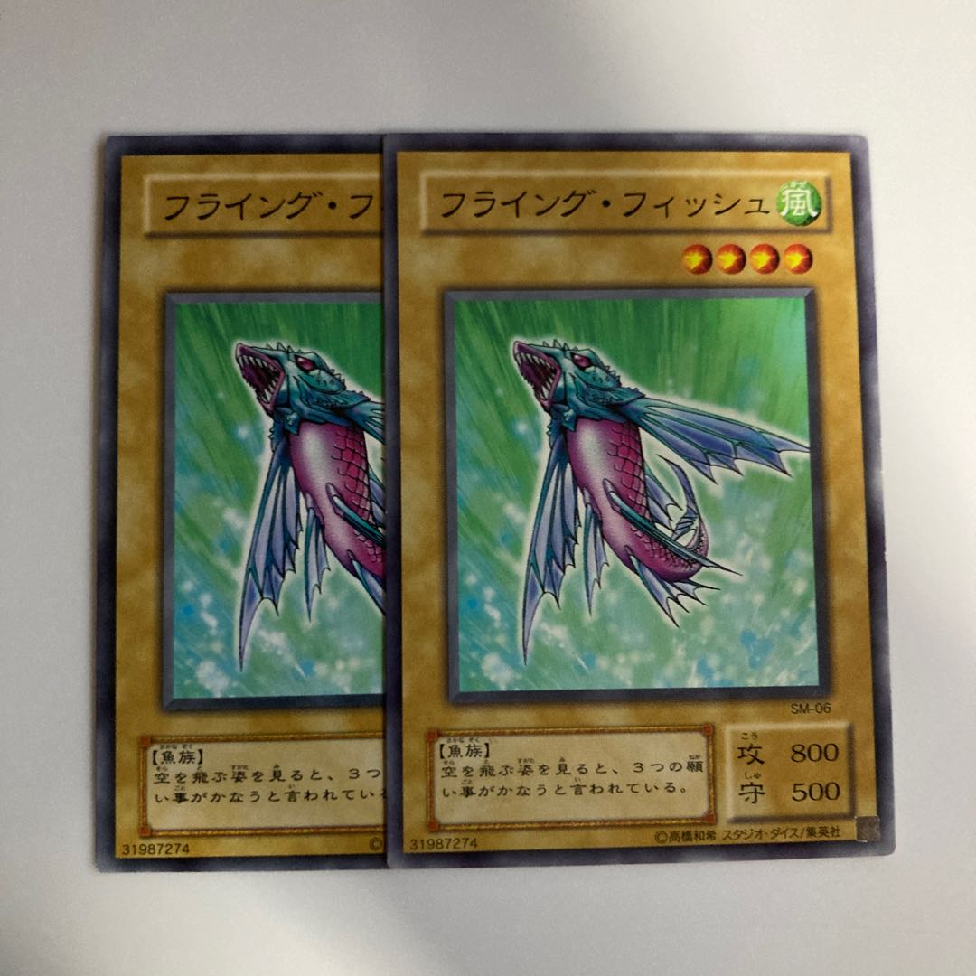 8884 フライング・フィッシュ