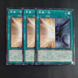 Omoteyorintai Normal JP005×3 [Korindo