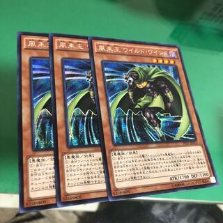 ワイルドワインド　シク