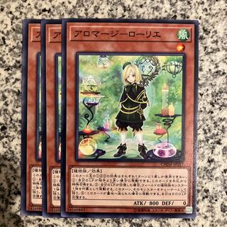 Aromage - Laurier Normal JP017