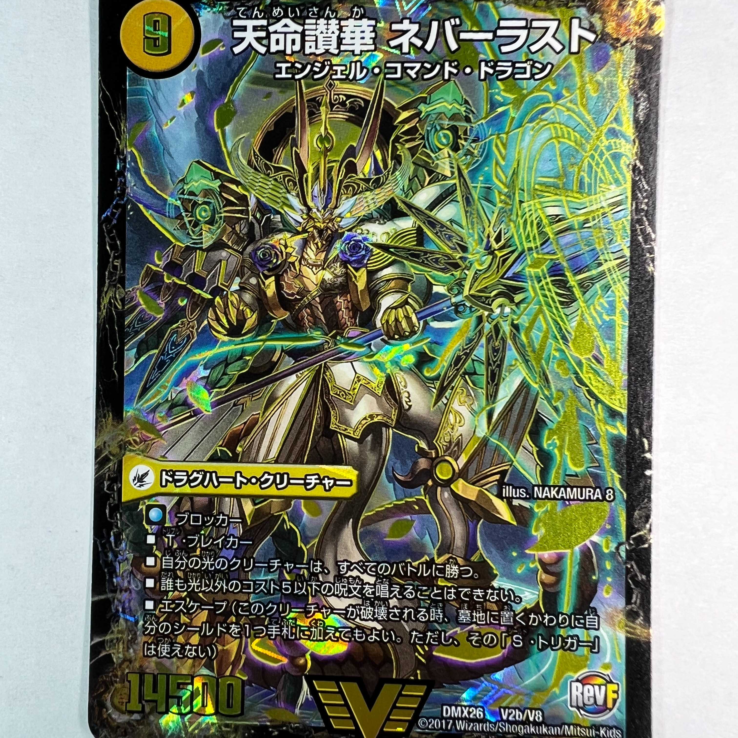 Tenmei Sanka Neverlast + True Tenmei King Neverend DMX26 (price including shipping)