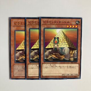8943 Pyramid Turtle $4080