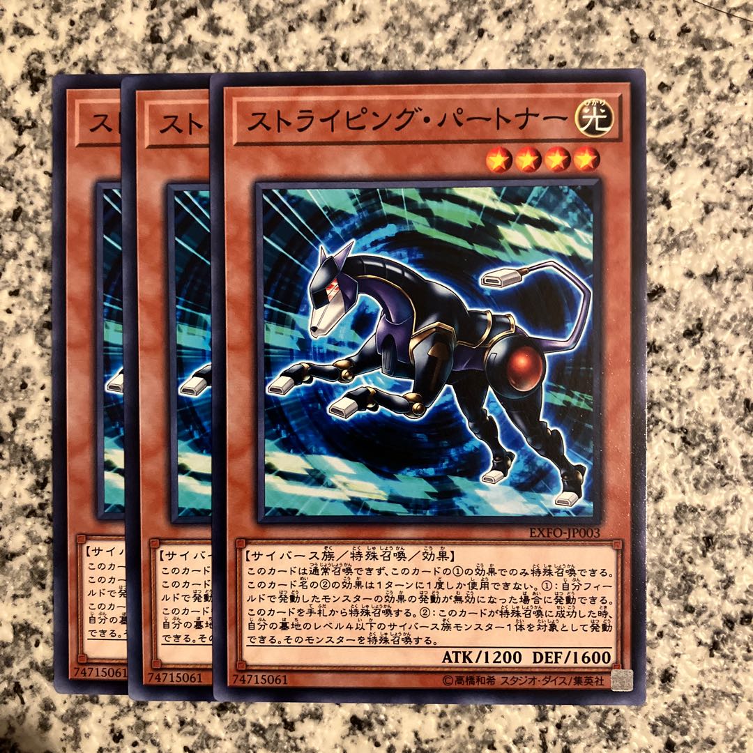 Striping Partner Normal JP003