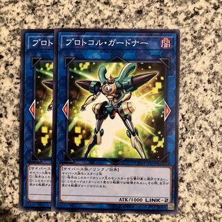 プロトコル・ガードナー ノーマル JP038