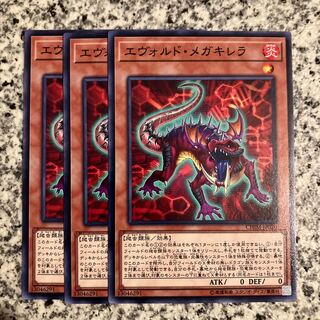 エヴォルド・メガキレラ ノーマル JP020