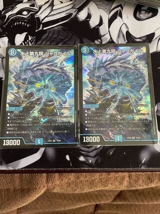 Waterjo Ninth Institute Shakogile SR 18/98