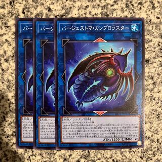 Paleozoic Cambroraster Normal JP047