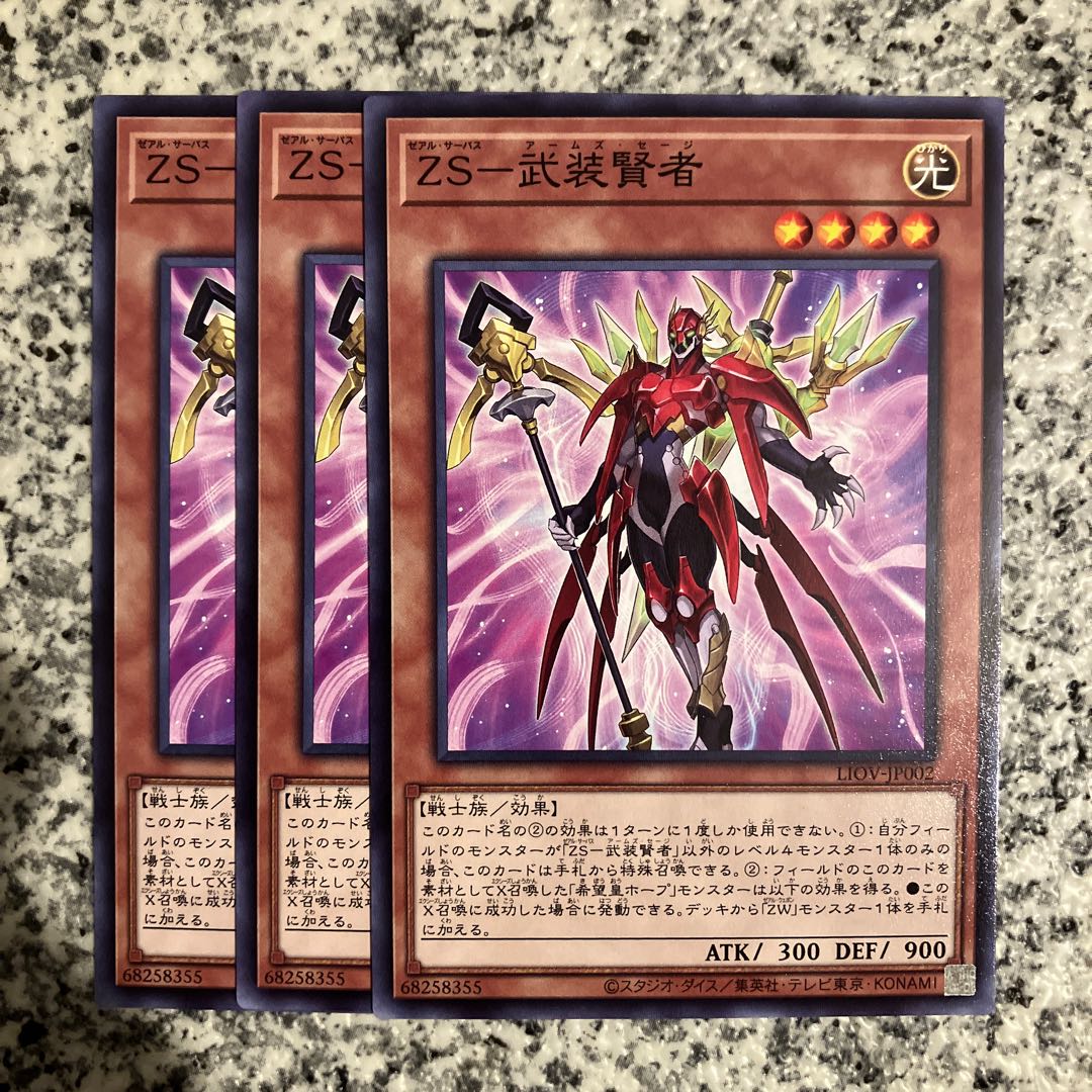 ZS-Armed Sage Normal JP002