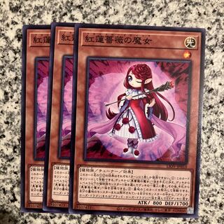Ruddy Rose Witch Normal JP010
