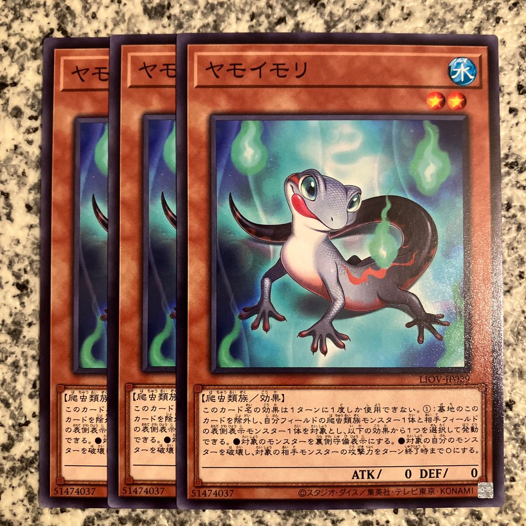 ヤモイモリ ノーマル JP029