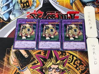 Amazoness Pet Liger CP17 1 Normal Set of 3 Tera