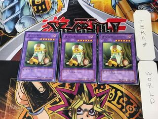 Sanwitch EE3 1 Normal, set of 3 Tera.