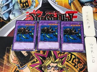 クワガー・ヘラクレス TP20 3 ノーマル 3枚セット てら