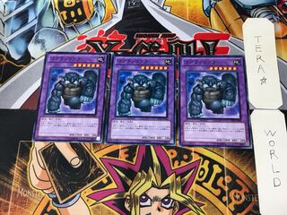 Koalo-Koala RP01 2 Normal, set of 3 Tera