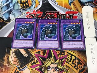 Koalo-Koala RP01 4 Normal, set of 3 Tera