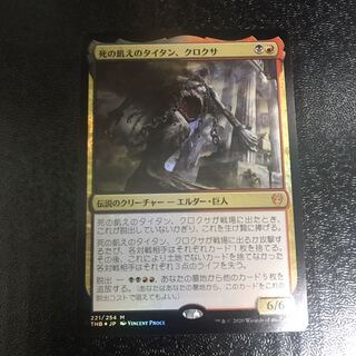 【たかさん専用】クロクサ　foil2枚＋繁殖池　foil4枚