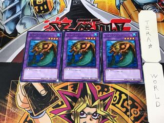 レア・フィッシュ TP15 2 ノーマル 3枚セット てら