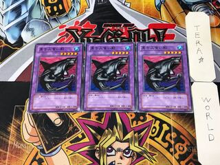 黒き人食い鮫 TP04 1 ノーマル 3枚セット てら
