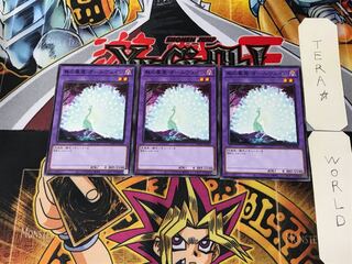 Allvain the Essence of Vanity DAMA 5 Normal 3-card set Tera